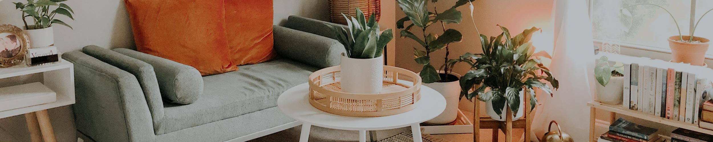 A Celebration in Every Box